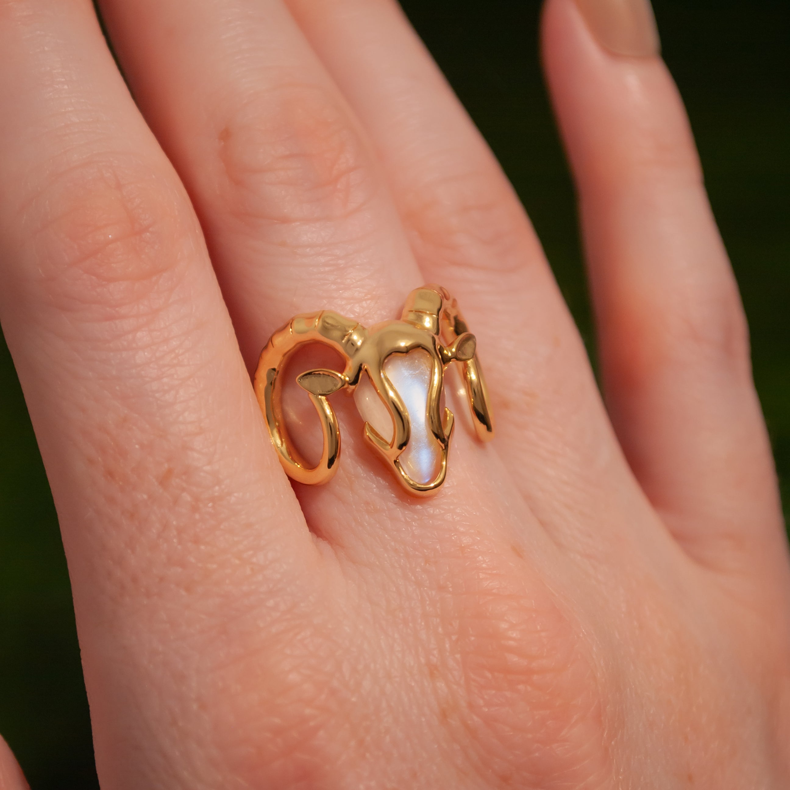 Ram Rng Radiant Ram Ring – MARIE JUNE